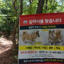 춘자 이야기 이미지