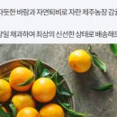 와야농장 이미지