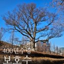 우리동네해장국 느티나무길양평해장국 백암순대국영통본점 국물간안하는식당