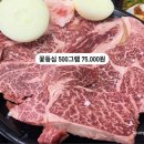 고기마루 티스토리