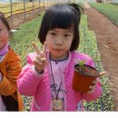 우전초등학교병설유치원 이미지