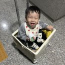 쭈니차니몰