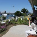 시민정원 이미지