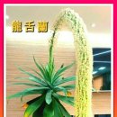 수향원
