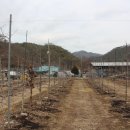 더좋은과수원