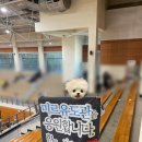 2023 부산 갈매기 유도대회 후기