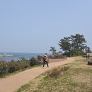 간절곶 소망길 이미지