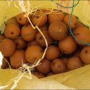 원산농장 이미지