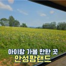 꼬꼬네농장 | 주말 나들이 아이랑 가볼만한곳 안성팜랜드 할인 꿀팁 총정리