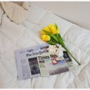 스테이 루나 이미지