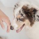 신세계 동물병원 이미지