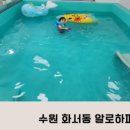 알로하파티풀