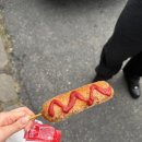 못난이 꽈배기 월평점