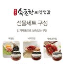 돌아와요속초항