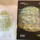 보라농장 이미지