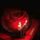 투썸플레이스(A Twosome PLACE) | [투썸 케이크 추천] 부모님 프사 등극! 투썸플레이스 플라워 요거 생크림 솔직후기 🌸✨