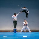 경희대 도담 태권도장 이미지