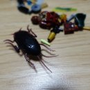 보물박스 이미지