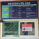 비봉산한우 | 모노레일과 모노케이블 추천 청풍호 케이블카 비봉산 정상 제천 가볼만한곳 내돈내산 솔직후기 매표 주차