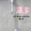 봉닭