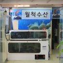 정이수산 이미지