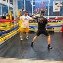 Bee복싱짐 이미지