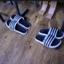 신금호 당구장 이미지