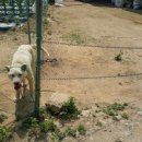 흥대회관 이미지