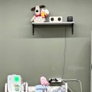 댕이의하루 이미지