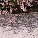 탑1리경로당 이미지