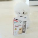 불로미용실 | 강아지바리깡 세타스 강아지이발기 비숑 셀프미용 후기