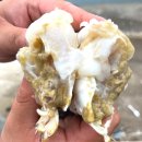 삼시세끼연구소 이미지