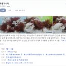 스팀닥터구출장세차 | 도트 그래픽 게임 해양 탐사 초밥 타이쿤 데이브 더 다이버 플레이 후기3 (스팀/닌텐도 스위치 게임 리뷰)