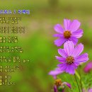 오대양육대주 이미지