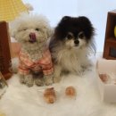 쁜이네곳간 이미지