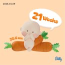 이마트24 강릉임당점 | 임신기록 21주~ 24주 | 2차정밀초음파 임당검사 강릉여행 코엑스베이비페어