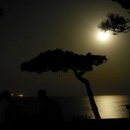 희미한옛사랑의 그림자 이미지