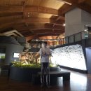 울산암각화박물관 이미지