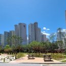 청솔초등학교 이미지