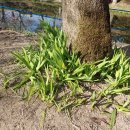 한국대중음악박물관 이미지