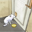 못된강아지 이미지