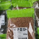 서울인삼사