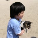 방산초등학교 이미지