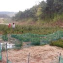 이화봉농장 이미지