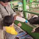 풀잎목장 이미지