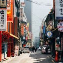 서천군 삼성 온누리상품권·디지털온누리 사용처 안내 이미지