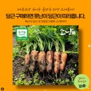 제주 유기농 흙당근을 샀더니, 못난이 당근이 덤으로 왔어요. 꼭사세요. 두번사세요.