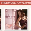 슈비너스 Daum카페