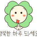 벨레토 네이버블로그