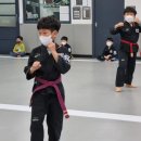 타이거 합기도장 이미지